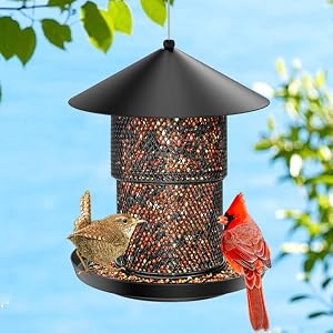 Bird Feeder for Outdoor Hanging