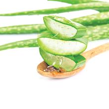 aloe vera nourish moisturizer soothes cools hydrates dry skin