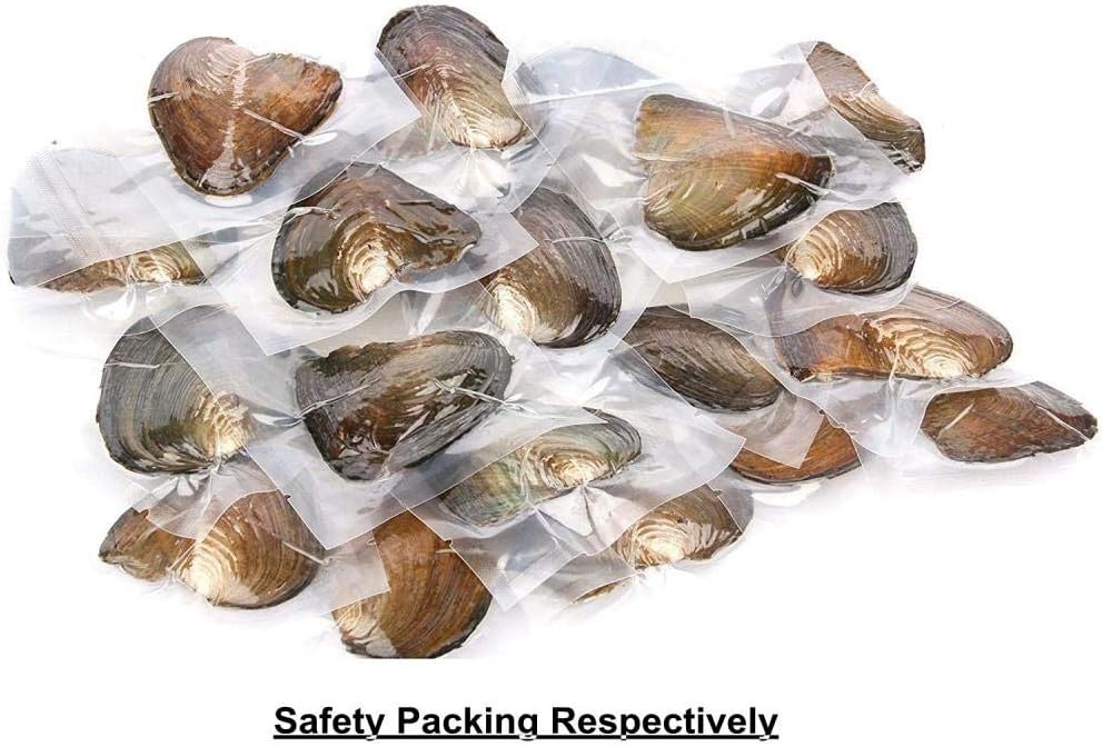 50 PC Freshwater Oyster with Pearls Inside Round Pearls Oysters Bulk 7-8mm Love Wish Pearl Party Kids Activity Birthday Gift | Includes 50