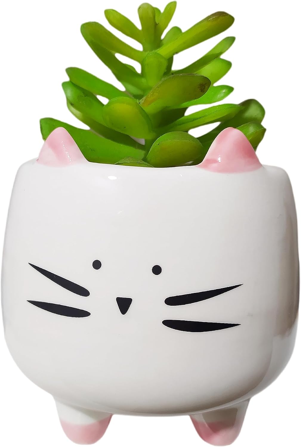 Cuteforyou Succulent Pots,Cute Animal Shaped Cartoon Ceramic Succulent Cactus Flower Planters -Plant Not Included，Cat