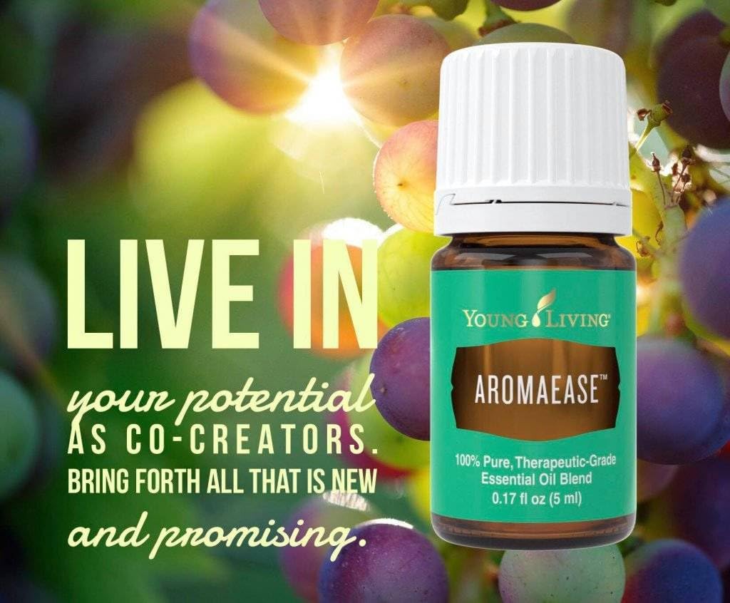 Young Living Thieves Vitality Essential Oil Blend | 5 ml | Warm Spicy Herbal Aroma for Diffusers, Massage & Aromatherapy | Clove, Lemon, Cinnamon, Eucalyptus & Rosemary Blend | Seed to Seal Quality