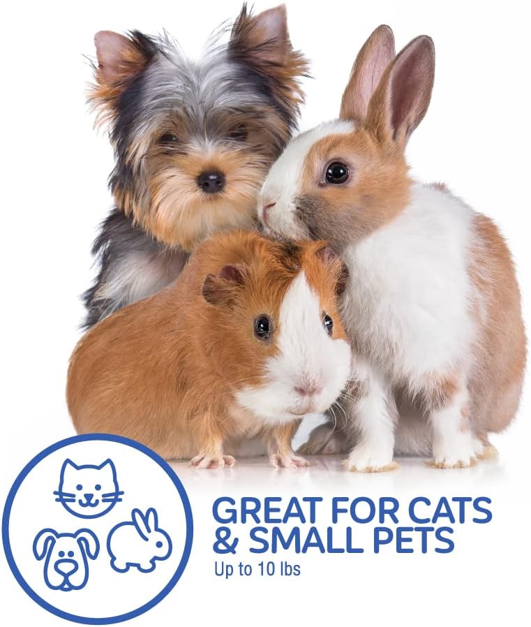 Petmate 2-Door Dog, Puppies & Cat Kennel, 19", White | Top & Front Loading, Made in USA, Extra Small