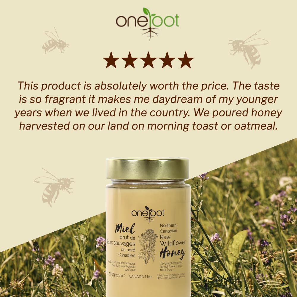 Oneroot 100% Canadian Wildflower Honey - 1.1 lbs, Unheated & Creamed - Nutrient-Rich, Natural Sweetener with Enzymes - Thick & Pure Raw Unfiltered Honey
