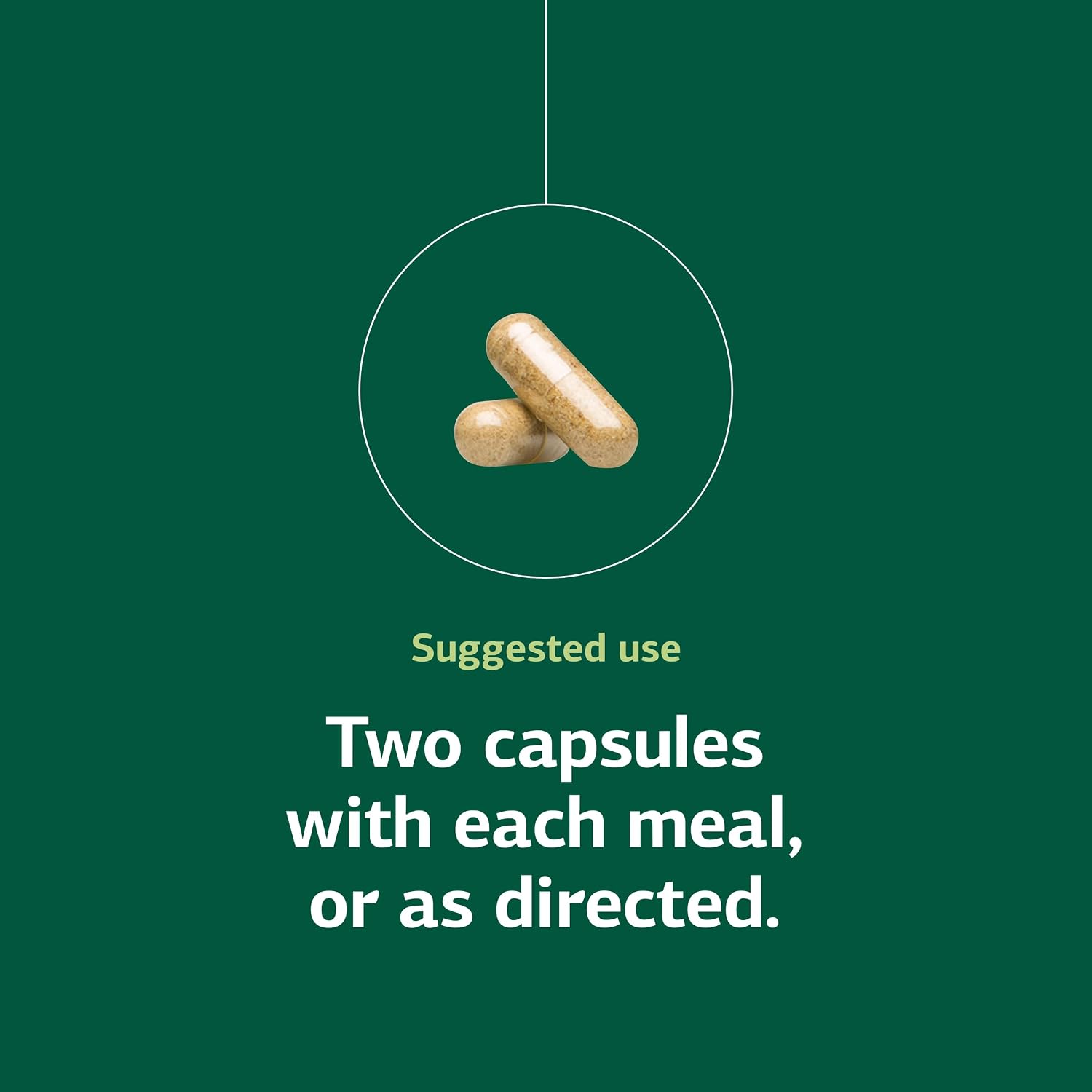 Standard Process Senaplex - Nervous System Support with Niacin