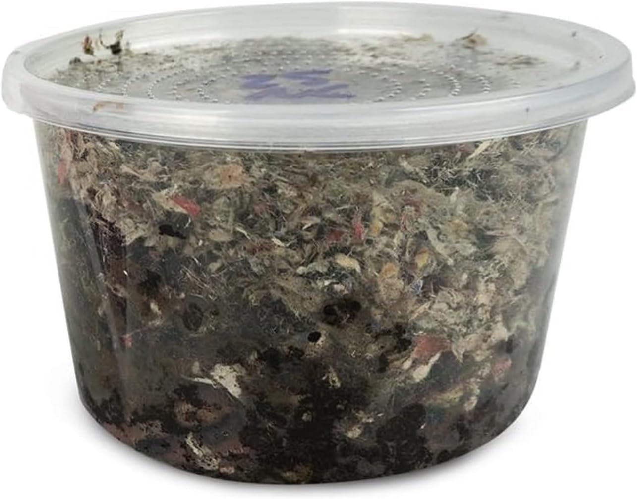 Josh's Frogs Nightcrawlers/Earthworms - 'Lumbricus terrestris' (16 oz)
