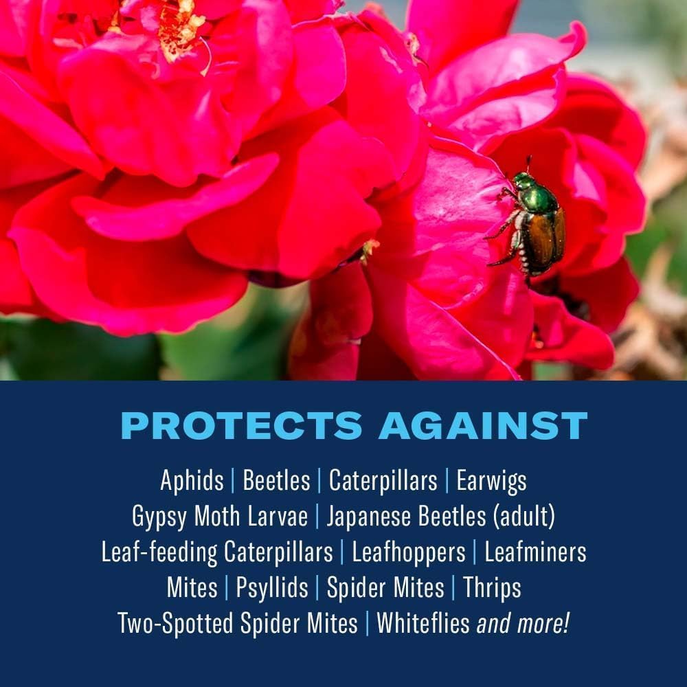 BioAdvanced 3-in-1 Insect, Disease, and Plant Mite Control - Insecticide, Fungicide & Miticide - Ready-to-Spray- Prevents Pests and Diseases - Up to 30 Days Protection - 32 fl oz Bottle