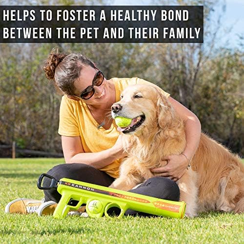 Hyper Pet GoDogGo Fetch Machine Dog Ball Launcher & Automatic Ball Launcher for Dogs With Five 2.5" Balls for Dogs 20-60 Pounds
