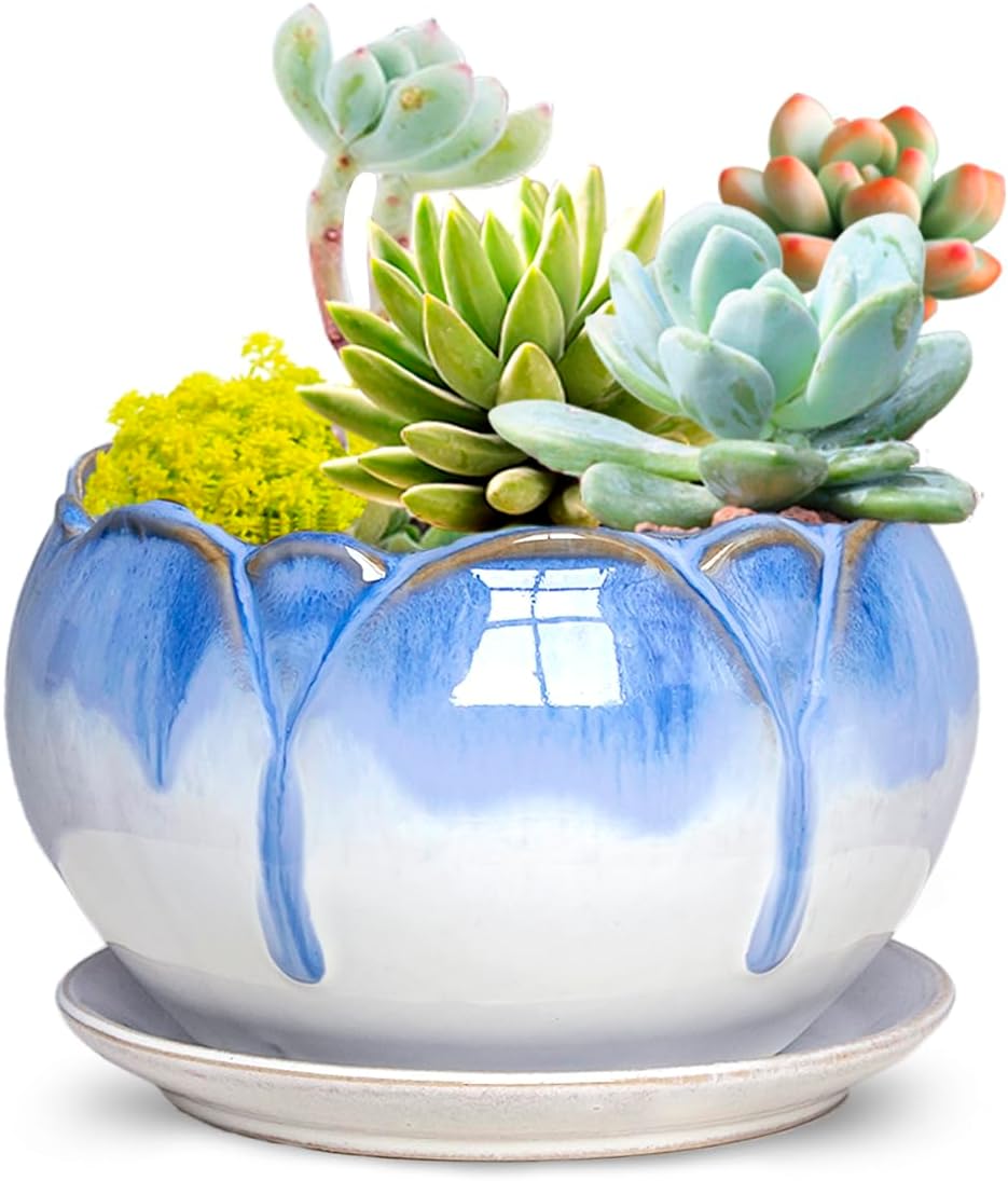 Dahlia 8.3'' Inch Large Shallow Drip Glazed Ceramic Planter/Succulent Pot/Plant Pot, Green
