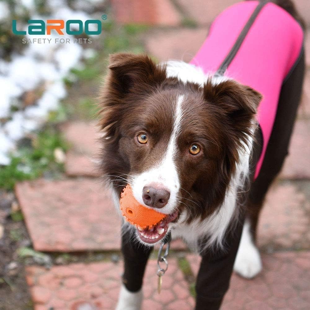 LaRoo Squeaky Dog Ball Toy,Durable Natural Rubber Squeaker Ball Throwing Training,Teeth Cleaning Chew Toy for Pet Medium and Large Dogs (3.5In Green)