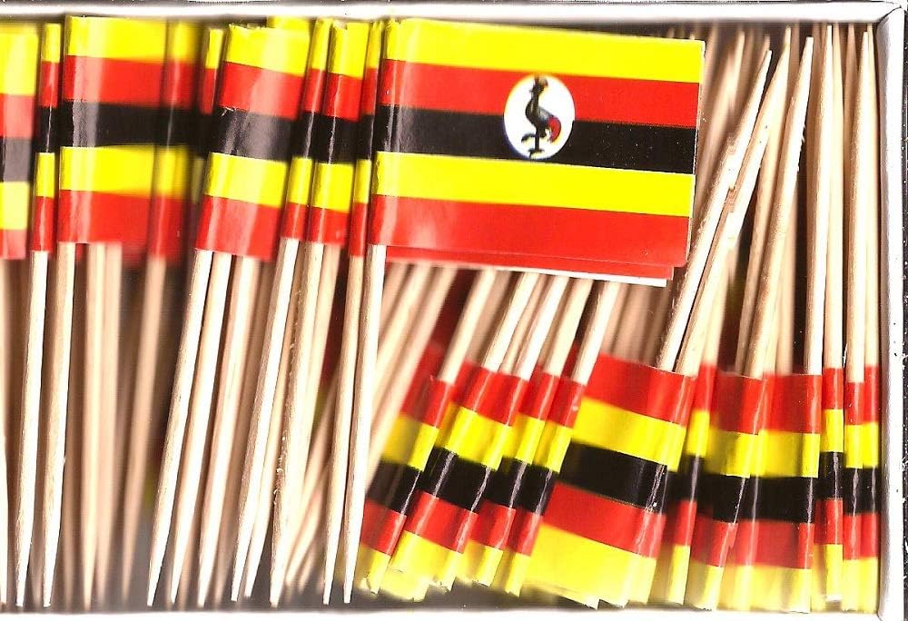 One Box of 100 Nicaragua Toothpick Flags, 100 Small Mini International Flag Cupcake Toothpicks or Cocktail Picks