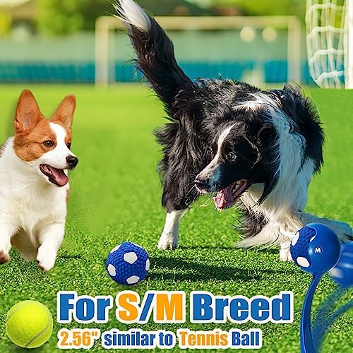 Soft Squeaky Dog Balls for Medium Dogs and Small Breeds, 2.56" 3pcs