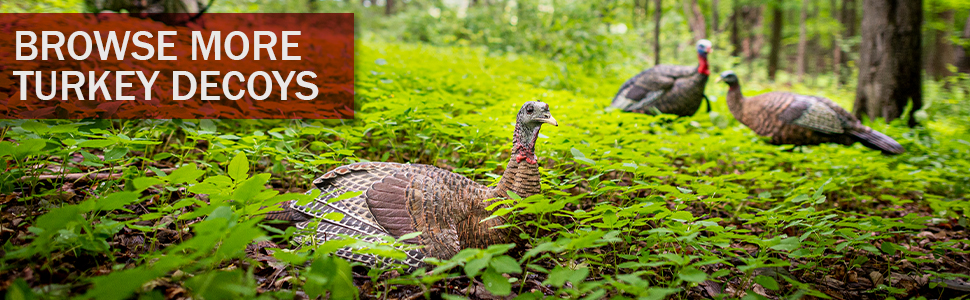 avian x turkey decoys