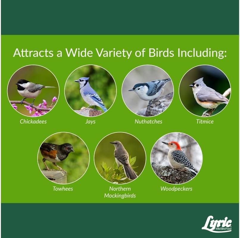 Lyric Woodpecker Wild Bird Seed for Outside Feeders, Shelled, No Waste Bird Seed with Nuts & Dried Fruit, 5 lb Bag | For outside feeders, shelled