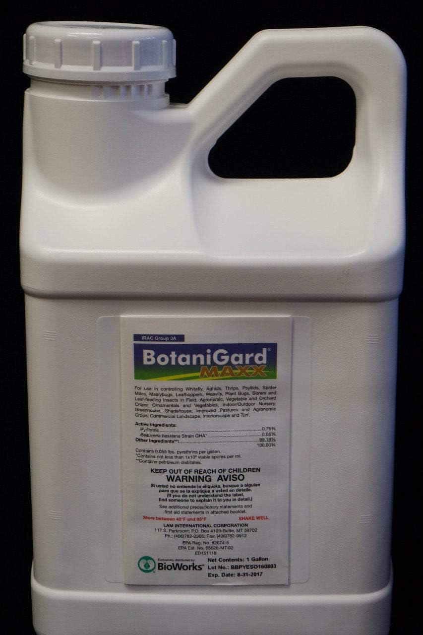 Maxx 1 Gallon Beauveria bassiana