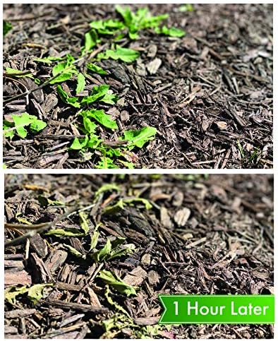 579 Vinegar Weed & Grass Killer, Approved for Organic Production, Pet Safe, Glyphosate Free Herbicide, Quart, 1, Light Yellow