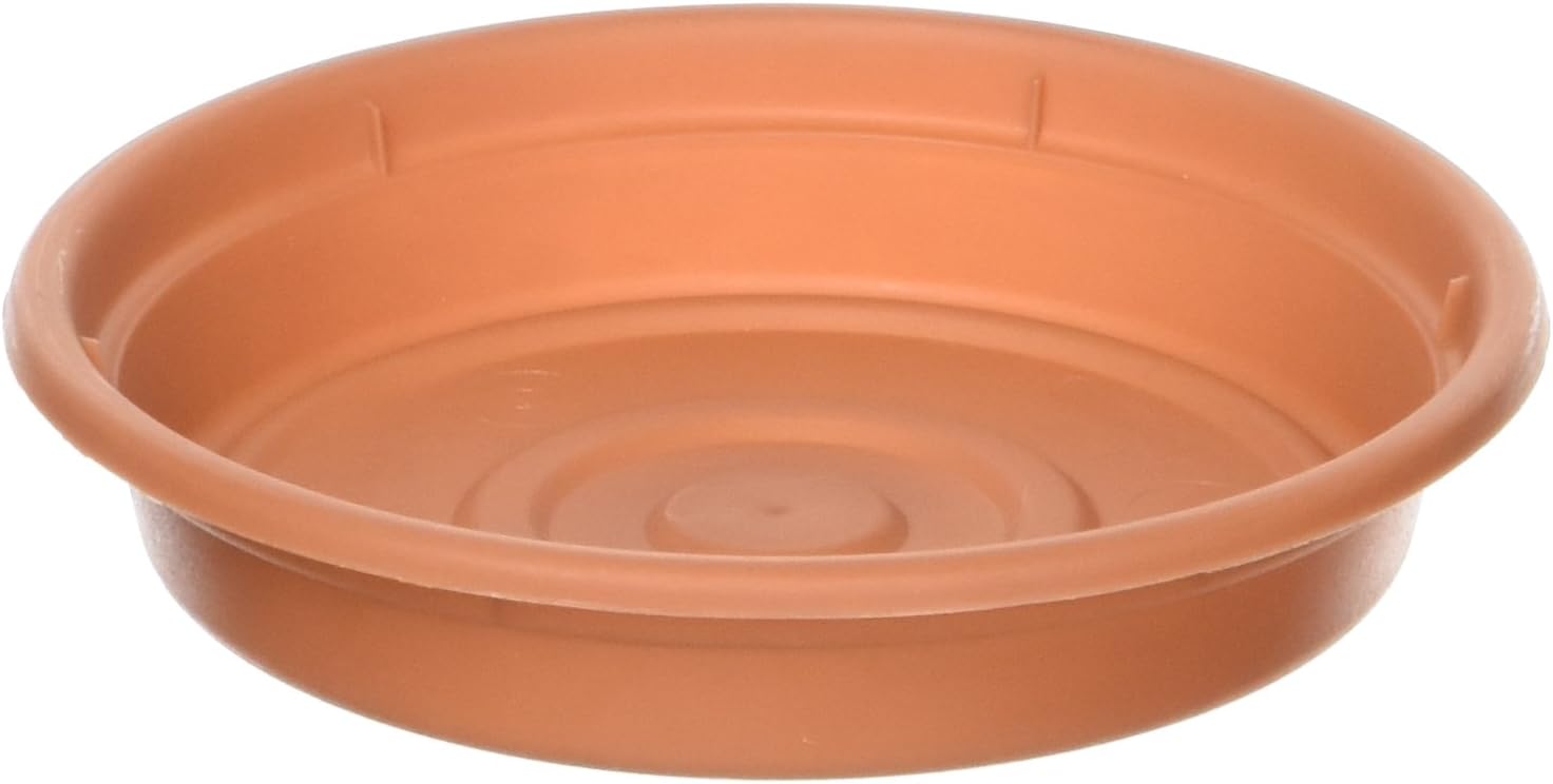 Bloem SDC8-46 Dura Cotta Plant Saucer, Terra Cotta, 8"