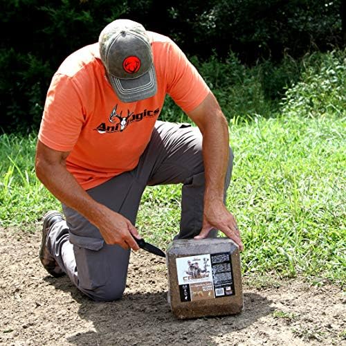 Ani-Logics Outdoors Crush Acorn Block Attractant - Long-Lasting Deer Feed & Attractant for Herd Health, Antler Growth