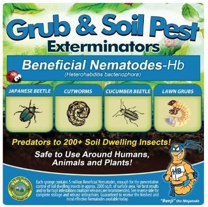 25 Million Live Beneficial Nematodes Hb - Soil Pest Exterminator