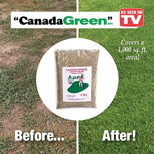 Canada Green Grass Seed - 2 Lb. Bag, Brown
