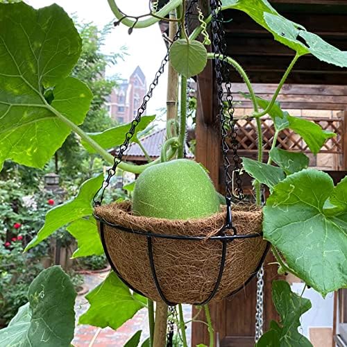 HALEDAZE 2 Pack 14 Inch Round Coco Liners for Hanging Basket