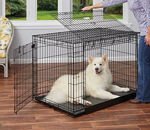 MidWest Homes for Pets Medium Ovation Double Door 30-inch Folding Metal Dog Crate, Front and Up & Away Side Doors, Space-Saving Design