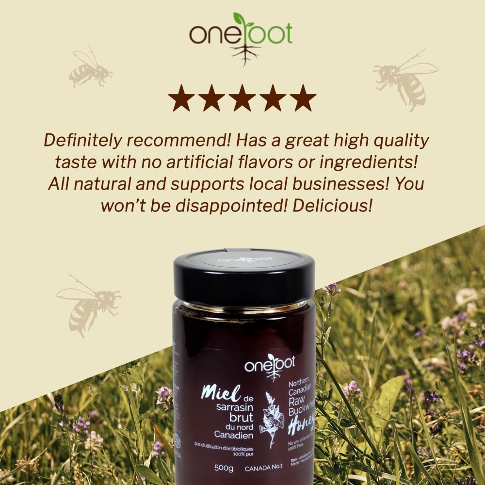 OneRoot Raw Buckwheat Honey – 500g / 17.6oz, Unheated & Unprocessed Dark – Nutrient-Rich, Antioxidant-Packed Natural Sweetener – Pure & Unfiltered Honey
