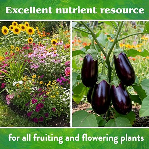 Down To Earth All Natural Fertilizers Organic Rock Phosphate - 0-3-0, 5 lb | Calcium Phosphate, Plant Food for Flower Beds, Vegetable Gardens