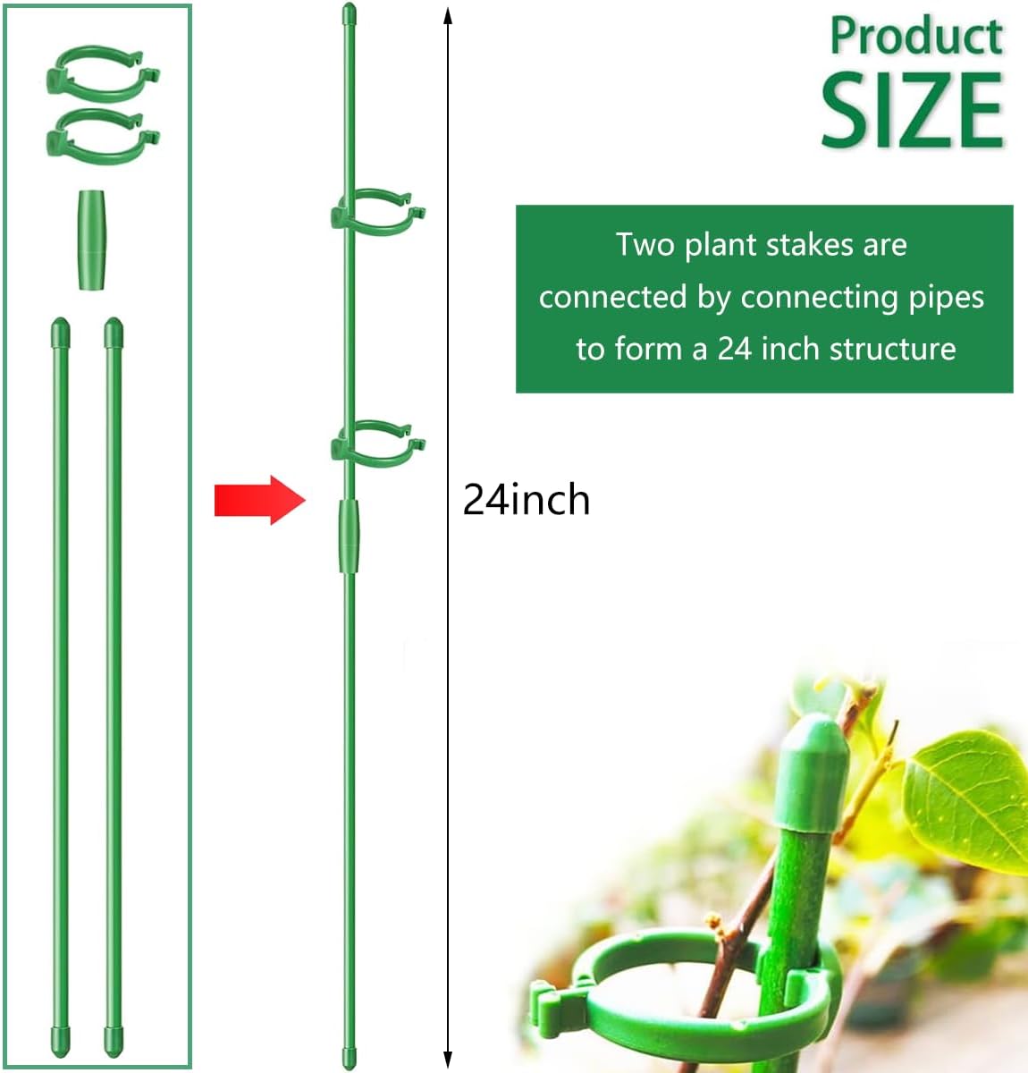 Belit 8 Pack Plant Supports for Small Plants, Garden Flowers Green Plant Support Ring, Planter Support Ring for Schlumbergera, Clivia, Succulents