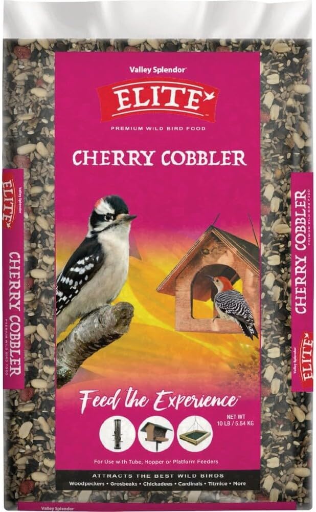 Cherry Cobbler