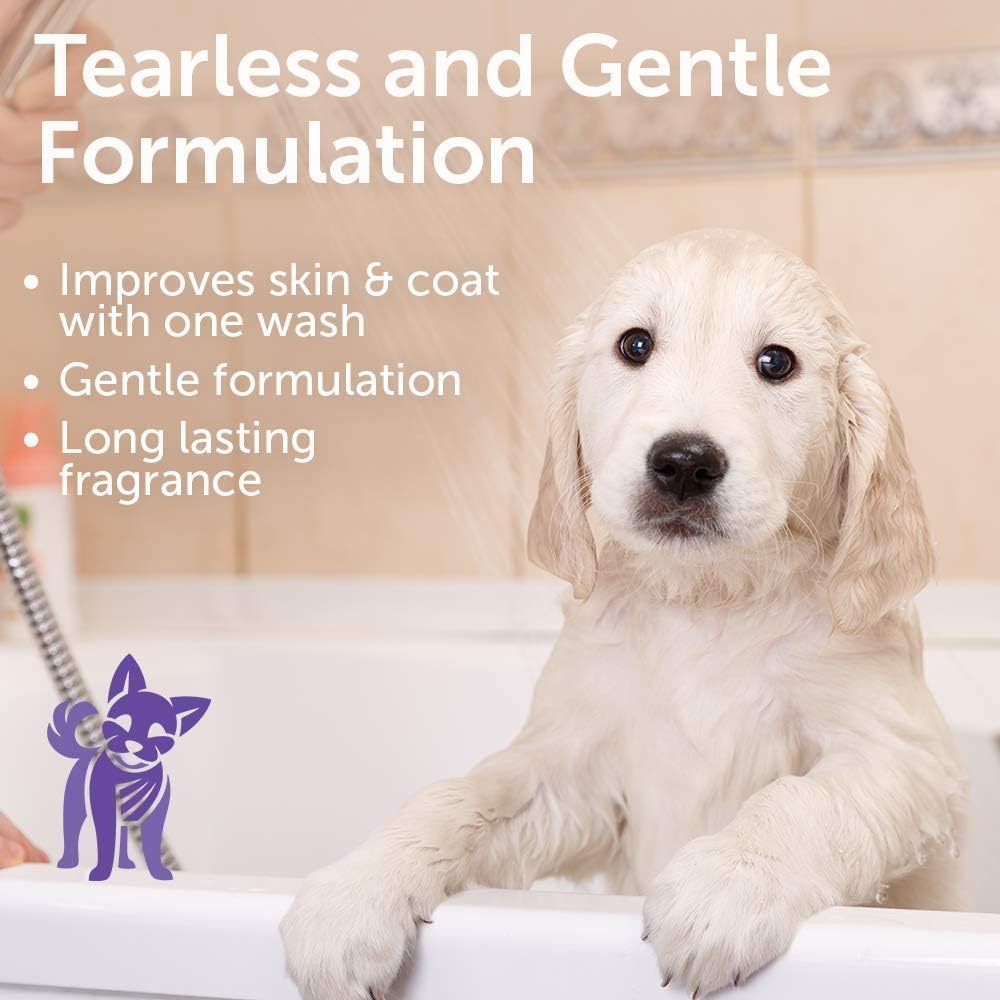 Nootie Cucumber Melon Pet Shampoo for Dogs & Cats, Gentle Oatmeal Formula | 16 oz, dog wash for sensitive skin, helps relieve dry itchy skin for dogs, natural ingredients, cleans & conditions