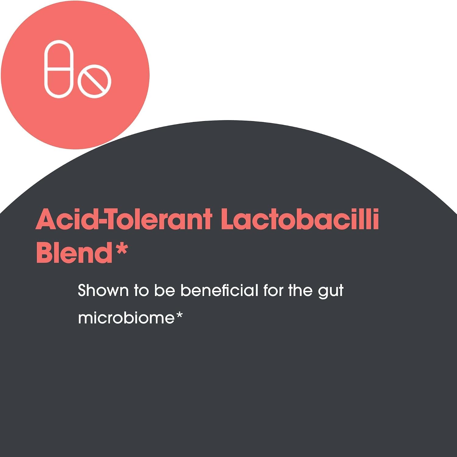 Allergy Research Group ARG Lactobacillus - Multi-Strain Probiotic Capsule - Gut & Digestive Health Support - Dairy Free