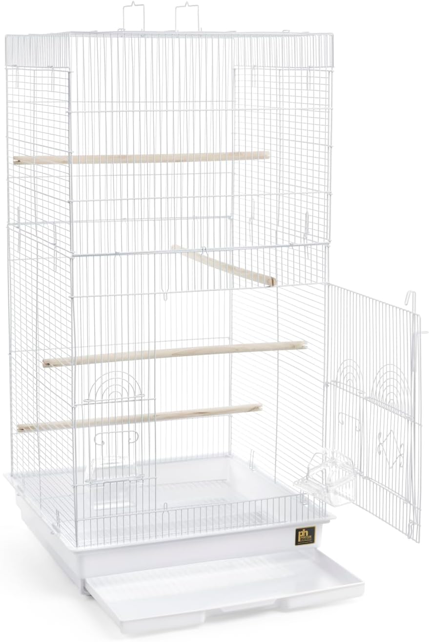 Prevue Pet Products SPECONO1818H-SG Tall Tiel Cage, Sage Green