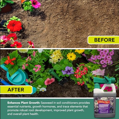 Medina Plus Soil Activator - Liquid Soil Loosener for Lawns & Gardens - Micronutrient-Rich Soil Conditioner & Softener - Used with House Plant Fertilizer, Liquid Plant Food for Houseplants - 1 End Qt