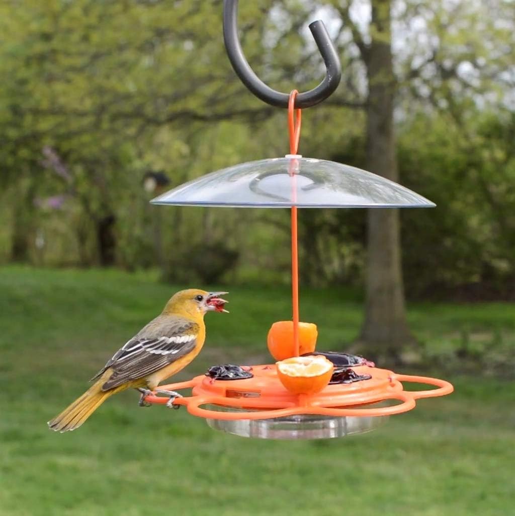Nature's Way OFM1 Wire Oriole Feeder
