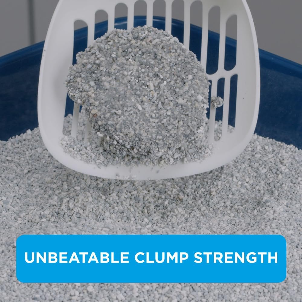 Ever Clean Extra Strong Clumping Cat Litter, 10 Litre, Scented