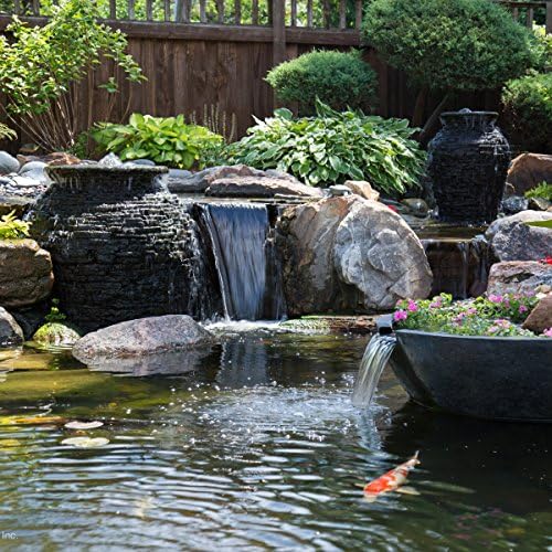 Aquascape Protect Water Treatment Koi and Fish Ponds, All-Natural Formulation Effectively Reduces Fish Stress and Promotes Fish Health | 4 (32-Ounces)