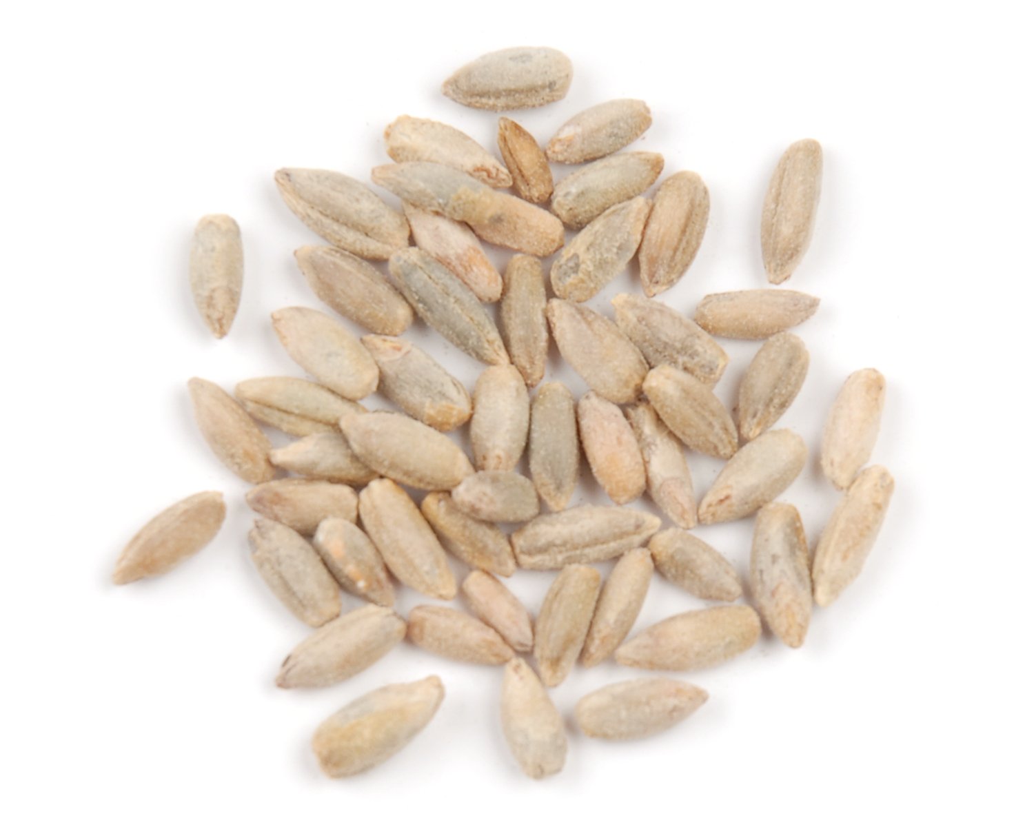 D’allesandro 25 lbs. Raw Rye Berries, Kosher Parve Certified & Non-GMO