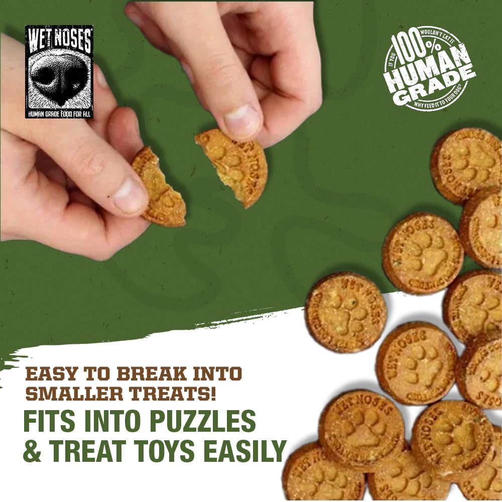 Wet Noses Organic Crunchy Dog Treats – All-Natural, Human-Grade, Non-GMO, Healthy Training & Delicious Snacks for Dogs