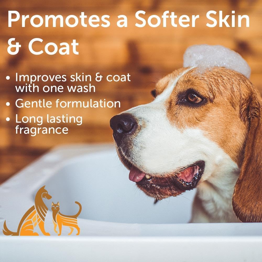 Nootie Cucumber Melon Pet Shampoo for Dogs & Cats, Gentle Oatmeal Formula | 16 oz, dog wash for sensitive skin, helps relieve dry itchy skin for dogs, natural ingredients, cleans & conditions