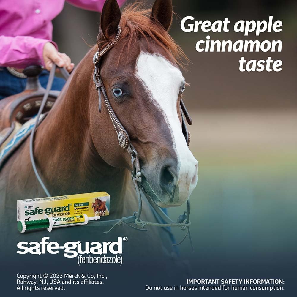 Merck Animal Safe Guard 25 Gram Paste Equine Dewormer