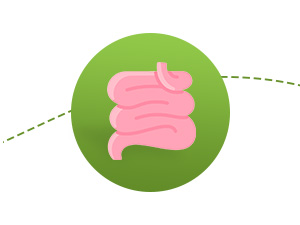 GC53