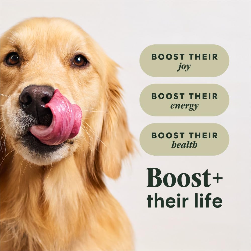Instinct RawBoost, Dry Dog Food + Freeze Dried, Real Beef, 10 lb. Bag | High-protein kibble with FreshDried raw bites, USA-raised beef, grain-free recipe, 6-in-1 health benefits