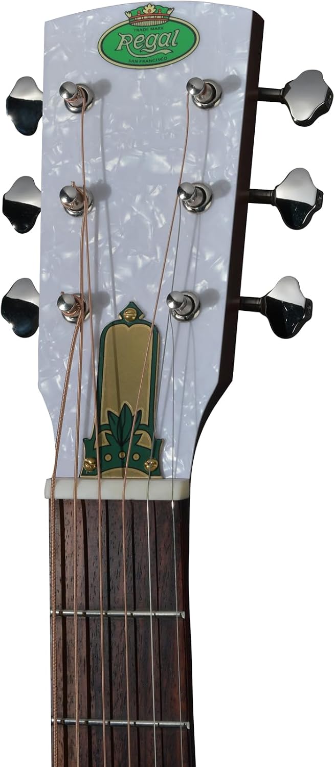 Regal Duolian Resonator Polychrome Guitar RC-1