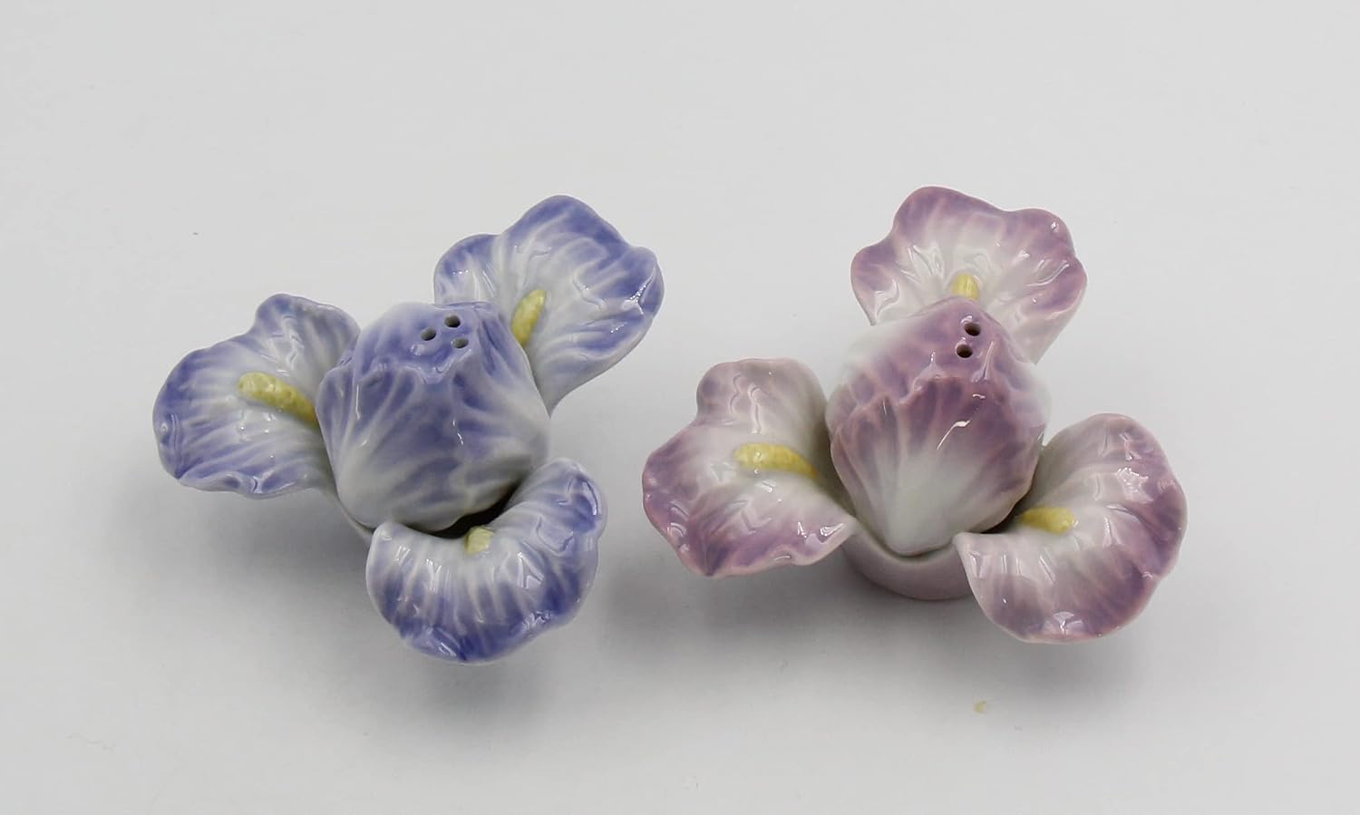 Fine Porcelain Iris Flower Salt and Pepper Shakers Set 2.25" H