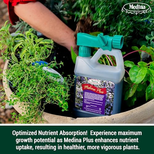Medina Plus Soil Activator - Liquid Soil Loosener for Lawns & Gardens - Micronutrient-Rich Soil Conditioner & Softener - Used with House Plant Fertilizer, Liquid Plant Food for Houseplants - 1 End Qt