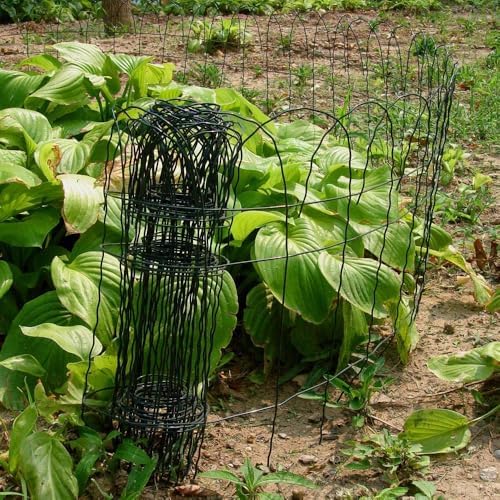 14 inch(H) x 20 feet(L) Green Garden Border Edging Folding Fence Roll Scroll Top Rolled Yard Fencing Garden Fence, Metal Wire Garden Fence for Outdoor,Yard Landscape Patio,Flower Bed Edging