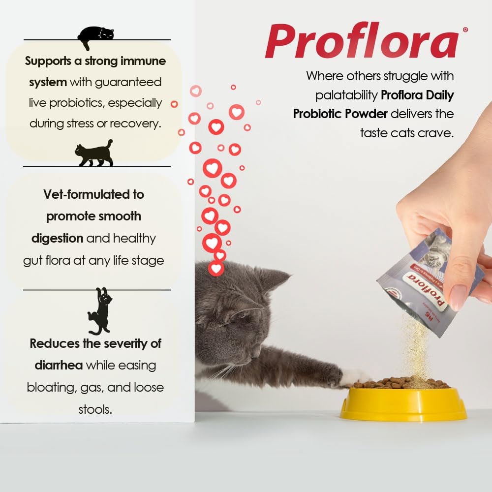 Probiotics and Prebiotics for Dogs – Daily Digestive Health Supplement, Supports Immune System, Gut Health, Healthy Digestion & Nutrient Absorption, 30 Powder Sachets.