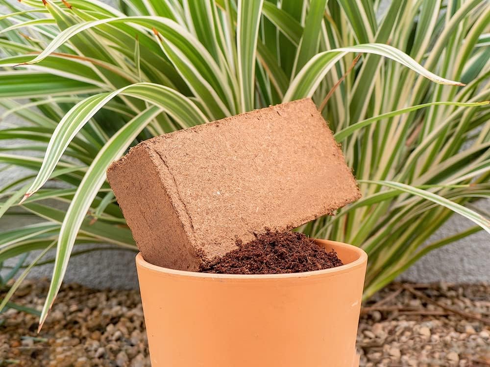Envelor Organic Coco Coir Brick 10 Lbs. Coir Block Coconut Fiber Growing Medium Potting Soil Mix Coco Peat Media Coir Pith Indoor Outdoor Planters Vegetable Garden Beds