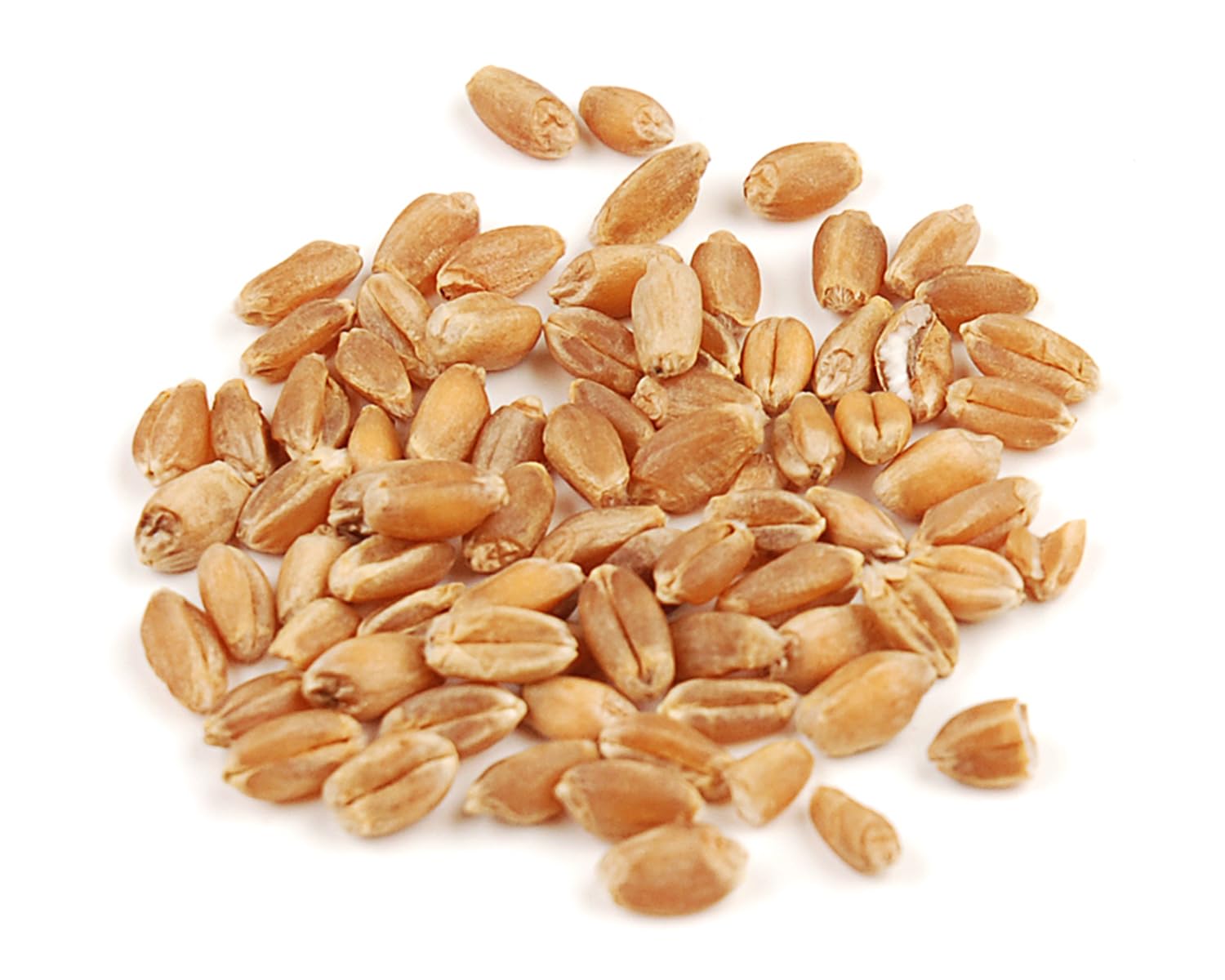 D'Allesandro Organic Hard Red Wheat Berries - 10 Lb Bulk Pack, High Protein, Whole-Grain, Non-GMO, Kosher, Nutty Flavor, Ideal for Baking, Salads