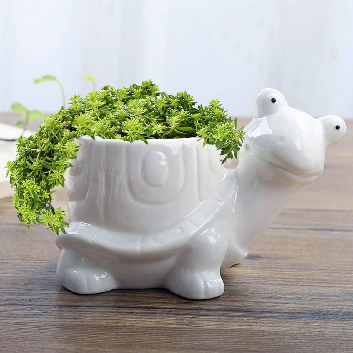 GeLive White Cow Succulent Pot, Small Ceramic Animal Planter with Drainage Hole & Saucer for Cactus, Mini Air Plants, Pencil Holder Brush Organizer, Indoor Home Office Desk Decor, Funny Gift